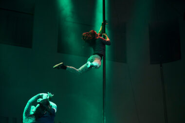 Image for  Chinese Pole Advanced