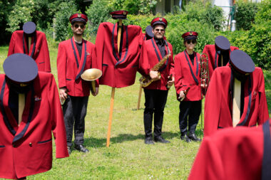 Image for  Zur Rettung der Blasmusik